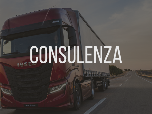 services-consulting-italian