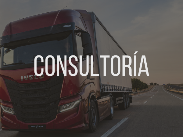 services-consulting-spanish